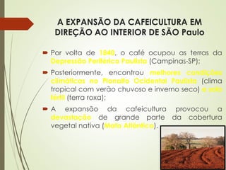 A EXPANSÃO DA CAFEICULTURA EM
DIREÇÃO AO INTERIOR DE SÃO Paulo
 Por volta de 1840, o café ocupou as terras da
Depressão Periférica Paulista (Campinas-SP);
 Posteriormente, encontrou melhores condições
climáticas no Planalto Ocidental Paulista (clima
tropical com verão chuvoso e inverno seco) e solo
fértil (terra roxa);
 A expansão da cafeicultura provocou a
devastação de grande parte da cobertura
vegetal nativa (Mata Atlântica).
 