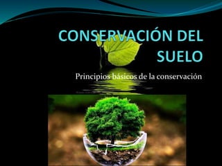 Principios básicos de la conservación
 