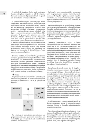 A molécula da água é um dipolo, sendo positiva no         As ligações entre os aminoácidos acontecem
18   lado dos hidrogênios e negativa no lado do oxigênio.       entre os grupamentos amina e carboxila, sendo
     Devido à sua natureza dipolar, a molécula de água é        chamadas de ligações peptídicas, que são ligações
     um dos melhores solventes conhecidos.                      covalentes. As cadeias formadas pelas ligações
                                                                peptídicas entre os aminoácidos são chamadas de
      O grau de afinidade pela água tem papel muito             cadeias polipeptídicas.
     importante nas propriedades biológicas das
     macromoléculas. Os polímeros celulares contêm                As proteínas podem ser classificadas em duas
     em sua estrutura grupamentos químicos que                  categorias: as proteínas simples, cujas moléculas são
     apresentam afinidade pela água – grupamentos               formadas exclusivamente de aminoácidos, e as
     polares – ou que não apresentam afinidade pela             proteínas conjugadas, que possuem uma porção não
     água – grupamentos apolares, repelindo-a. São              protéica, denominada grupo prostético. São exemplos
     exemplos de grupamentos polares: carboxila,                de proteínas conjugadas: glicoproteínas (polis-
     hidroxila, aldeído, sulfato e fosfato. Moléculas           sacarídeos), lipoproteínas (lipídios), fosfoproteínas
     com alto teor de grupamentos polares são                   (fósforo), entre outros.
     solúveis em água e são chamadas de hidrofílicas.
     A maioria dos carboidratos, dos ácidos nucléicos             Chama-se configuração nativa a forma
     e de muitas proteínas são hidrofílicas. Por outro          tridimensional que uma molécula apresenta nas
     lado, existem moléculas sem ou com poucos                  condições de pH e temperatura existentes nos
     grupamentos polares, logo, são insolúveis em               organismos vivos. Do ponto de vista biológico, o
     água e são chamadas de hidrofóbicas. Como                  conhecimento da forma tridimensional das moléculas
     exemplo, temos os lipídios.                                protéicas em estado nativo é muito importante, pois
                                                                é assim que, dentro da célula, as moléculas mostram
       Existem, também, macromoléculas, geralmente              atividade e reagem umas com as outras. Assim, a
     alongadas, que apresentam uma região hidrofílica e outra   estrutura das moléculas protéicas é mantida pelos
     hidrofóbica. Tais macromoléculas são chamadas de           seguintes tipos de ligações e interações: ligação
     anfipáticas, as quais apresentam a capacidade de           peptídica, interação hidrofóbica, pontes de
     associar-se simultaneamente a água e a compostos           hidrogênio e ligações dissulfeto.
     hidrofílicos por uma de suas extremidades, e a compostos
     hidrofóbicos, pela outra extremidade. As moléculas
                                                                  Dessa forma, de acordo com o tipo de ligações e
     anfipáticas exercem importantes funções biológicas, e
                                                                interações encontradas, a estrutura da proteína pode
     estão presentes em todas as membranas biológicas.
                                                                ser: estrutura primária, que é determinada pelo número
                                                                e sequência dos resíduos de aminoácidos em uma
      • Proteínas
                                                                cadeia polipeptídica. A estrutura primária é mantida
      As proteínas são macromoléculas formadas por
     aminoácidos (polímeros de aminoácidos), os quais           por ligações peptídicas. Porém, se essas fossem as
     possuem na sua estrutura C, H, O, N, apresentada           únicas ligações existentes, as moléculas das proteínas
     a seguir:                                                  seriam dobradas ao acaso. No entanto, sabe-se que
                                                                as cadeias polipeptídicas dobram-se de forma bastante
                                                                regular e constante para cada tipo de proteína. Esse
                                                                arranjo espacial definido e típico de cada proteína é
                                                                conhecido como estrutura secundária. Um tipo de
                                                                estrutura secundária muito frequente é a alfa-hélice, a
                                                                qual deve-se à formação de pontes de hidrogênio entre
                                                                aminoácidos de uma mesma cadeia, a qual assume a
                                                                forma de um saca-rolha ou hélice.

                                                                 A cadeia contendo a estrutura secundária pode se
                                                                dobrar novamente sobre si mesma formando
                                                                estruturas globosas ou alongadas, adquirindo assim,
                                                                uma estrutura terciária.

                                                                  Além disso, muitas proteínas são constituídas por várias
                                                                cadeias polipeptídicas, que podem ser iguais ou diferentes.
      Na estrutura do aminoácido, encontramos um                O modo específico pelo qual tais cadeias se juntam para
     grupamento amina, um grupamento carboxila e um             formar a proteína tem o nome de estrutura quaternária da
     radical (R), que é responsável pela variabilidade          proteína. Essa estrutura é mantida por várias ligações
     estrutural dos aminoácidos.                                químicas fracas, como as pontes de hidrogênio.
 