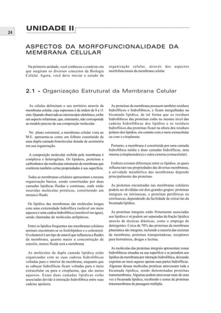 UNIDADE II
24


     ASPECTOS DA MORFOFUNCIONALIDADE DA
     MEMBRANA CELULAR

      Na primeira unidade, você conheceu o contexto em            organização celular, através dos              aspectos
     que surgiram os diversos conceitos da Biologia               morfofuncionais da membrana celular.
     Celular. Agora, você deve iniciar o estudo da



     2.1 - Organização Estrutural da Membrana Celular

       As células delimitam o seu território através da            As proteínas da membrana possuem também resíduos
     membrana celular, cuja espessura é da ordem de 8 a 11        hidrofílicos e hidrofóbicos, e ficam mergulhadas na
     mm. Quando observada ao microscópio eletrônico, exibe        bicamada lipídica, de tal forma que os resíduos
     um aspecto trilaminar, que, entretanto, não corresponde      hidrofóbicos das proteínas estão no mesmo nível das
     ao modelo preciso de sua composição molecular.               cadeias hidrofóbicas dos lipídios e os resíduos
                                                                  hidrofílicos das proteínas ficam na altura dos resíduos
       No plano estrutural, a membrana celular vista ao           polares dos lipídios, em contato com o meio extracelular
     M.E. apresenta-se como um folheto constituído de             ou com o citoplasma.
     uma dupla camada bimolecular dotada de assimetria
     em sua organização.                                            Portanto, a membrana é constituída por uma camada
                                                                  hidrofóbica média e duas camadas hidrofílicas, uma
       A composição molecular exibida pela membrana é             interna (citoplasmática) e outra externa (extracelular).
     complexa e heterogênea. Os lipídeos, proteínas e
     carboidratos são moléculas estruturais da membrana que         Embora existam diferenças entre os lipídios, as quais
     conferem também certas propriedades à sua superfície.        influenciam nas propriedades das diversas membranas,
                                                                  a atividade metabólica das membranas depende
      Todas as membranas celulares apresentam a mesma             principalmente das proteínas.
     organização básica, sendo constituídas por duas
     camadas lipídicas fluidas e contínuas, onde estão              As proteínas encontradas nas membranas celulares
     inseridas moléculas protéicas, constituindo um               podem ser divididas em dois grandes grupos: proteínas
     mosaico fluido.                                              integrais ou intrínsecas, e proteínas periféricas ou
                                                                  extrínsecas, dependendo da facilidade de extraí-las da
      Os lipídios das membranas são moléculas longas              bicamada lipídica.
     com uma extremidade hidrofílica (solúvel em meio
     aquoso) e uma cadeia hidrofóbica (insolúvel em água),         As proteínas integrais estão firmemente associadas
     sendo chamadas de moléculas anfipáticas.                     aos lipídios e só podem ser separadas da fração lipídica
                                                                  através de técnicas drásticas, como o emprego de
      Entre os lipídios frequentes nas membranas celulares        detergentes. Cerca de 70% das proteínas da membrana
     animais encontram-se os fosfolipídios e o colesterol.        plasmática são integrais, incluindo a maioria das enzimas
     O colesterol é um tipo de esterol que influencia a fluidez   de membrana, proteínas transportadoras, receptores
     da membrana, quanto maior a concentração de                  para hormônios, drogas e lectina.
     esteróis, menos fluida será a membrana.
                                                                    As moléculas das proteínas integrais apresentam zonas
      As moléculas da dupla camada lipídica estão                 hidrofóbicas situadas na sua superfície e se prendem aos
     organizadas com as suas cadeias hidrofóbicas                 lipídios da membrana por interação hidrofóbica, deixando
     voltadas para o interior da membrana, enquanto que           expostas ao meio aquoso apenas suas partes hidrofílicas.
     as cabeças hidrofílicas ficam voltadas para o meio           Algumas dessas moléculas protéicas atravessam toda a
     extracelular ou para o citoplasma, que são meios             bicamada lipídica, sendo denominadas proteínas
     aquosos. Essas duas camadas lipídicas estão                  transmembrana. Algumas podem atravessar mais de uma
     associadas devido à interação hidrofóbica entre suas         vez a bicamada lipídica, recebendo o nome de proteínas
     cadeias apolares.                                            transmembrana de passagem múltipla.
 