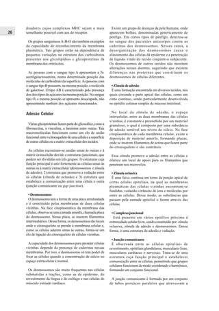 doadores cujos complexos MHC sejam o mais                       Existe um grupo de doenças da pele humana, onde
26   semelhante possível com aos do receptor.                       aparecem bolhas, denominadas genericamente de
                                                                    pênfigo. Em certos tipos de pênfigo, detectou-se
      Os grupos sanguíneos A-B-O são também exemplos                no sangue dos pacientes anticorpos contra as
     da capacidade de reconhecimento da membrana                    caderinas dos desmossomos. Nesses casos, a
     plasmática. Tais grupos estão na dependência de                desorganização dos desmossomos causa o
     pequenas variações na estrutura dos carboidratos               afastamento das células da epiderme e a penetração
     presentes nos glicolipídios e glicoproteínas da                de líquido vindo do tecido conjuntivo subjacente.
     membrana dos eritrócitos.                                      Os desmossomos de outros tecidos não mostram
                                                                    alterações nesses doentes, sugerindo que existem
       As pessoas com o sangue tipo A apresentam a N-               diferenças nas proteínas que constituem os
     acetilgalactosamina, numa determinada posição das              desmossomos de células diferentes.
     moléculas de carboidrato da superfície. As pessoas com
     o sangue tipo B possuem, na mesma posição, a molécula           • Zônula de adesão
     de galactose. O tipo AB é caracterizado pela presença           É uma formação encontrada em diversos tecidos, nos
     dos dois tipos de açúcares na mesma posição. No sangue         quais circunda a parte apical das células, como um
     tipo O, a mesma posição se apresenta desocupada, não           cinto contínuo, sendo particularmente desenvolvida
     apresentando nenhum dos açúcares mencionados.                  no epitélio colunar simples da mucosa intestinal.

     Adesão Celular                                                   No local da zônula de adesão, o espaço
                                                                    intercelular, entre as duas membranas das células
                                                                    vizinhas, é constante e preenchido por um material
       Várias glicoproteínas fazem parte do glicocálice, como a     granuloso, o qual é composto por uma substância
     fibronectina, a vinculina, a laminina entre outras. Tais       de adesão sensível aos níveis de cálcio. Na face
     macromoléculas funcionam como um elo de união                  citoplasmática de cada membrana celular, existe a
     funcional entre o citoesqueleto de uma célula e a superfície   deposição de material amorfo, formando placas,
     de outras células ou a matriz extracelular dos tecidos.        onde se inserem filamentos de actina que fazem parte
                                                                    do citoesqueleto e são contráteis.
       As células encontram-se unidas umas às outras e à
     matriz extracelular devido a estruturas juncionais, que         Essa zônula promove a adesão entre as células e
     podem ser divididas em três grupos: 1) estruturas cuja         oferece um local de apoio para os filamentos que
     função principal é unir fortemente as células umas às          penetram nos microvilos.
     outras ou à matriz extracelular (desmossomos e zônula
     de adesão); 2) estrutura que promove a vedação entre            • Zônula oclusiva
     as células (zônula de oclusão) e 3) estrutura que               É uma faixa contínua em torno da porção apical de
     estabelece a comunicação entre uma célula e outra              certas células epiteliais, na qual as membranas
     (junção comunicante ou gap junction).                          plasmáticas das células vizinhas encontram-se
                                                                    fundidas, vedando o trânsito de íons e moléculas por
       • Desmossomos                                                entre as células. Desse modo, as substâncias que
       O desmossomo tem a forma de uma placa arredondada            passam pela camada epitelial o fazem através das
     e é constituído pelas membranas de duas células                células.
     vizinhas. Na face citoplasmática da membrana das
     células, observa-se uma camada amorfa, chamada placa            • Complexo juncional
     do desmossomo. Nessa placa, se inserem filamentos                 Está presente em vários epitélios próximo à
     intermediários. Dessa forma, os demossomos são locais          extremidade celular livre, sendo constituído por: zônula
     onde o citoesqueleto se prende à membrana celular e,           oclusiva, zônula de adesão e desmossomos. Dessa
     como as células aderem umas às outras, forma-se um             forma, é uma estrutura de adesão e vedação.
     elo de ligação do citoesqueleto de células vizinhas.
                                                                      • Junção comunicante
       A capacidade dos desmossomos para prender células              É observada entre as células epiteliais de
     vizinhas depende da presença de caderinas nessas               revestimento, epiteliais glandulares, musculares lisas,
     membranas. Por isso, o desmossomo só tem poder de              musculares cardíacas e nervosas. Trata-se de uma
     fixar as células quando a concentração de cálcio no            estrutura cuja função principal é estabelecer
     espaço extracelular é normal.                                  comunicação entre as células, permitindo que grupos
                                                                    celulares funcionem de modo coordenado e harmônico,
       Os desmossomos são muito frequentes nas células              formando um conjunto funcional.
     submetidas a trações, como as da epiderme, do
     revestimento da língua e do esôfago e nas células do            A junção comunicante é formada por um conjunto
     músculo estriado cardíaco.                                     de tubos protéicos paralelos que atravessam a
 