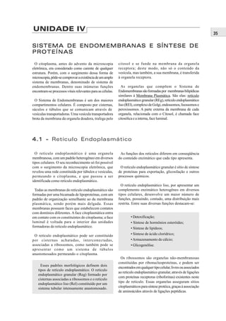 UNIDADE IV
                                                                                                                         35

SISTEMA DE ENDOMEMBRANAS E SÍNTESE DE
PROTEÍNAS

  O citoplasma, antes do advento da microscopia             citosol e se funde na membrana da organela
eletrônica, era considerado como carente de qualquer        receptora; deste modo, não só o conteúdo da
estrutura. Porém, com o surgimento dessa forma de           vesícula, mas também, a sua membrana, é transferida
microscopia, pôde-se comprovar a existência de um amplo     à organela receptora.
sistema de membranas, denominado de sistema de
endomembranas. Dentre suas inúmeras funções                   As organelas que compõem o Sistema de
encontram-se processos vitais relevantes para as células.   Endomembranas são formadas por membranas bilipídicas
                                                            similares à Membrana Plasmática. São elas: retículo
 O Sistema de Endomembranas é um dos maiores                endoplasmático granular (REg), retículo endoplasmático
compartimentos celulares. É composto por cisternas,         liso (REl), complexo de Golgi, endossomos, lisossomos e
sáculos e túbulos que se comunicam através de               peroxissomos. A parte externa da membrana de cada
vesículas transportadoras. Uma vesícula transportadora      organela, relacionada com o Citosol, é chamada face
brota da membrana da organela doadora, trafega pelo         citosólica e a interna, face luminal.




4.1 - Retículo Endoplasmático

  O retículo endoplasmático é uma organela                   As funções dos retículos diferem em conseqüência
membranosa, com um padrão heterogêneo em diversos           do conteúdo enzimático que cada tipo apresenta.
tipos celulares. O seu reconhecimento só foi possível
com o surgimento da microscopia eletrônica, que              O retículo endoplasmático granular é sítio de síntese
revelou uma rede constituída por túbulos e vesículas,       de proteínas para exportação, glicosilação e outros
permeando o citoplasma, e que passou a ser                  processos químicos.
identificada como retículo endoplasmático.
                                                              O retículo endoplasmático liso, por apresentar um
 Todas as membranas do retículo endoplasmático são          complemento enzimático heterogêneo em diversos
formadas por uma bicamada de lipoproteínas, com um          tipos celulares, desenvolve um maior número de
padrão de organização semelhante ao da membrana             funções, possuindo, contudo, uma distribuição mais
plasmática, sendo porém mais delgada. Essas                 restrita. Entre suas diversas funções destacam-se:
membranas possuem faces que estabelecem contatos
com domínios diferentes. A face citoplasmática entra
em contato com os constituintes do citoplasma; a face               • Detoxificação;
luminal é voltada para o interior das unidades                      • Síntese de hormônios esteróides;
formadoras do retículo endoplasmático.                              • Síntese de lipídeos;
 O retículo endoplasmático pode ser constituído                     • Síntese de ácido clorídrico;
por cisternas achatadas, interconectadas,                           • Armazenamento de cálcio;
associadas a ribossomos, como também pode se                        • Glicogenólise.
apresentar como um sistema de túbulos
anastomosados permeando o citoplasma.
                                                              Os ribossomos são organelas não-membranosas
                                                            constituídas por ribonucleoproteínas, e podem ser
      Esses padrões morfológicos definem dois
                                                            encontrados em qualquer tipo celular, livres ou associados
    tipos de retículo endoplasmático. O retículo
                                                            ao retículo endoplasmático granular, através de ligações
    endoplasmático granular (Reg) formado por
                                                            com proteínas receptoras (riboforinas) existentes neste
    cisternas associadas a ribossomos e o retículo
                                                            tipo de retículo. Essas organelas asseguram sítios
    endoplasmático liso (Rel) constituído por um
    sistema tubular intensamente anastomosado.              citoplasmáticos para síntese protéica, graças à associação
                                                            de aminoácidos através de ligações peptídicas.
 