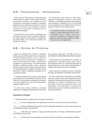4.4 - Peroxissomos - Glioxissomos
                                                                                                                    37

 Os peroxissomos são estruturas citoplasmáticas de         No citoplasma, ainda podem ser observados,
células animais e vegetais. Vistas exclusivamente à      inclusões ou pigmentos, conforme o tipo celular
microscopia eletrônica, são limitadas por uma            estudado e o seu estado funcional, caracterizando-se
membrana de constituição semelhante à membrana           como acúmulo de substâncias. Para ser classificada
plasmática e que confina em seu interior um elevado      como um pigmento, uma substância tem que possuir
número de enzimas. Essas estruturas celulares            alguma cor própria em seu estado natural.
encontram-se envolvidas no metabolismo do
peróxido de hidrogênio.                                      Os pigmentos podem ser classificados como
                                                            exógenos, quando organizados fora do corpo e
 Os glioxissomos são estruturas semelhantes aos             introjetados para as células, através de
peroxissomos, porém são de ocorrência específica            processos de endocitose e endógenos, quando
de células vegetais, participando do metabolismo            gerados no interior do próprio organismo, a partir
de triglicerídeos e da conversão de lipídeos em             de um precursor não pigmentado.
hidratos de carbono.



4.5 – Síntese de Proteínas

  Ocorre nos polirribossomos aderidos à membrana         das proteínas chaperones. No REg, inicia-se a
do REg, ou nos polirribossomos livres no citoplasma.     glicosilação da cadeia polipeptídica (adição de açúcar).
Nos polirribossomos livres, ocorre a síntese de
proteínas que devem permanecer no citoplasma ou            Essas proteínas são exportadas em vesículas de
serem incorporadas pelo núcleo, mitocôndrias,            transição para o aparelho de Golgi, onde ocorre a
cloroplastos ou peroxissomos. Nos polirribossomos        glicosilação terminal, que é responsável por parte da
aderidos à membrana do REg, ocorre a síntese de          especificidade dos vários tipos de glicoproteínas e,
proteínas que devem permanecer no próprio restículo,     também, pelo destino final desses compostos.
ser transportadas para o aparelho de Golgi, formar
lisossomos, compor a membrana plasmática ou ser           Outros processos que podem ocorrer no aparelho
secretadas da célula.                                    de Golgi são sulfatação e fosforilação das proteínas.

 A seqüência primária das proteínas é determinada          Os níveis intracelulares de proteínas são mantidos
pela sequência de nucleotídeos do RNAm que irá           tanto pela síntese quanto pela degradação dessas
codificá-la. Essas proteínas sintetizadas são marcadas   moléculas. Moléculas que não sejam mais necessárias,
com uma sequência de cerca de 20 aminoácidos,            sintetizadas com defeito ou alteradas pelo uso, são
chamada sequência sinal.                                 marcadas pela proteína ubiquitina para serem
                                                         degradadas. Essa degradação é realizada nos
 No interior das cisternas do REg, as proteínas          proteossomos, que são acúmulos citoplasmáticos de
adquirem sua configuração tridimensional com auxílio     enzimas proteolíticas.


Exercícios de Fixação

 1- Indique falso (F) ou verdadeiro (V) nas seguintes afirmativas:

 a) _____ O retículo endoplasmático liso apresenta um elevado teor de riboforina em suas membranas.

 b) _____ O retículo endoplasmático granular é sede de segregação de proteínas e realiza inúmeros processos
de modificação química sobre proteínas.

 c) _____ Toda célula que sintetiza e segrega proteínas apresenta um retículo endoplasmático granular
extensamente desenvolvido.

 d) _____ Os ribossomos livres participam do processo de síntese de proteínas essencialmente hidrófilas.
 