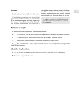 Nucléolo                                                   intensidade de síntese protéica que ocorre no citoplasma.
                                                           As células que sintetizam proteínas ativamente têm          43
 O nucléolo é o local de síntese do RNA ribossômico.       nucléolos maiores que outros tipos celulares. O núcleo
                                                           das células apresenta, geralmente, apenas um nucléolo.
  Os nucléolos são estruturas esféricas e não envolvidas
por membrana. Podem ser observados ao microscópio             A função primordial dos nucléolos é sintetizar
de luz, apresentando tamanho variável, de acordo com o       os ácidos nucléicos existentes nas estruturas
tipo celular e o estado funcional da célula. O tamanho       dos ribossomos.
dos nucléolos geralmente está relacionado com a


Exercícios de Fixação

 1 - Indique falso (F) ou verdadeiro (V), nas seguintes afirmativas:

 a) _____ Os complexos de poros são estruturas do envoltório, que regulam o intercâmbio entre núcleo e citoplasma.

 b) _____ A membrana externa do envoltório caracteriza-se por apresentar ribosomas aderidos.

 c) _____ A morfologia do núcleo em parte é determinada pelo arranjo da matriz nuclear.

 d) _____ Nos nucléolos ocorre a síntese e o processamento de ácidos nucleicos importantes para organização
molecular dos ribosomas.

Atividades Complementares

 1 - Faça um desenho da celular eucarionte, enfatizando o núcleo e indicando os seus componentes.

 2 - Descreva os componentes do núcleo.
 