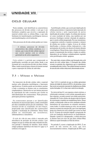 44
     UNIDADE VII

     CICLO CELULAR

       Nesta unidade, você identificará as características      A proliferação celular, que ocorre por duplicação de
     dos processos de divisão celular e verá que é um         células preexistentes é responsável pela reposição de
     fenômeno complexo que envolve a separação do             células mortas e pela regeneração de partes
     material celular entre as células-filhas, e que todo     danificadas de tecidos e órgãos. As células não morrem
     fenômeno de transformações morfológicas inicia-se        só como resultado de lesões, mas também por um
     com transformações a nível molecular.                    processo fisiológico normal, chamado de apoptose,
                                                              que é a morte celular programada. Por esse mecanismo,
      Dois processos de divisão celular podem ser vistos:     o organismo controla e mantém constante o número
                                                              de células nos tecidos e órgãos, livra-se de células
             A mitose, processo de divisão                    danificadas e elimina células indesejáveis e não
          característico das células somáticas, e a           permanentes de tecidos em desenvolvimento durante
          meiose, que é uma divisão celular especial          a morfogênese. Dessa forma, tanto o desenvolvimento,
          que ocorre apenas com as células                    quanto a manutenção dos tecidos e órgãos no adulto,
          germinativas de certos organismos.                  dependem de um balanço cuidadosamente regulado
                                                              entre proliferação celular apoptose.

       Ciclo celular é o período que compreende as              Por outro lado, existem células cuja formação não se dá
     modificações ocorridas em uma célula, desde a sua        através do ciclo celular típico. A formação das células
     formação até a sua próxima divisão em duas células-      sexuais ou gametas dos organismos que se reproduzem
     filhas, sendo essencial para o desenvolvimento normal    sexuadamente não é cíclico. Tais células formam-se através
     e para a reposição de células do indivíduo.              de uma divisão celular reducional, denominada meiose.



     7.1 - Mitose e Meiose

       No transcorrer da divisão celular, todo o material       Gap 1 (G1) é o período em que as células apresentam
     nuclear sofre alterações morfológicas e funcionais       intensa atividade de síntese de RNA e de proteínas, nessa
     significativas. O núcleo perde seu envoltório nuclear    fase ocorre um aumento marcante do citoplasma nas células
     e toda a cromatina se mistura com os constituintes       recém-formadas. G1 é a fase mais variável em duração.
     citoplasmáticos. Desenvolve-se um intenso processo
     de espiralação de toda cromatina que resulta na            No início da fase G1, em resposta a sinais externos, a
     individualização dos cromossomos. Neste processo,        célula pode continuar o ciclo celular, passando para a
     participam proteínas reguladoras.                        fase seguinte, ou pode assumir um estado quiescente,
                                                              chamado G0. Essas células são desprovidas de fatores
       Os cromossomos passam a ser identificados              de crescimento e mantém um metabolismo baixo. Desse
     facilmente em microscopia óptica, sendo constituídos     estado, a célula pode voltar ao ciclo, mediante estímulo
     por duas cromátides presas por um centrômero. Esta       (hormônios de crescimento ou estímulo mecânico,
     estrutura divide as cromátides em dois braços,           como lesão). A célula retorna ao ciclo, em um ponto
     propiciando uma classificação dos cromossomos            anterior ao ponto de restrição (R), que é um importante
     segundo a localização do centrômero. Dessa forma         ponto de controle do ciclo celular que existe no final
     podem ser classificados em: acrocêntrico,                de G1. O ponto de restrição impede a progressão do
     submetacêntrico e telocêntrico.                          ciclo em condições desfavoráveis ou insatisfatórias.
                                                              Quando o ponto R é ultrapassado, a célula atravessa
       O ciclo de vida de uma célula é marcado pela           as demais fases do ciclo até que duas células-filhas
     alternância de períodos de divisão celular e por         idênticas sejam formadas ao final da mitose.
     estágios em que as células não estão sofrendo divisão,
     esse período é chamado de interfase. Neste último         No período S, ocorre a duplicação do DNA. É um
     estágio podemos identificar três fases G1 (gap 1), S     ponto de não retorno do ciclo, que leva
     (síntese) e G2 (gap 2).                                  necessariamente à mitose. A duplicação do DNA, que
 