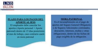 PLAZO PARA LOS PAGOS DEL
APORTE AL IESS
El empleador debe cancelar los
aportes (Aporte personal + Aporte
patronal) dentro de 15 días posteriores
al mes de trabajo, caso contrario caerá
en mora patronal
MORA PATRONAL
Es el incumplimiento en el pago de
aportes del Seguro General Obligatorio
o de Seguros Adicionales contratados,
descuento, intereses, multas y otras
obligaciones, dentro de las fechas de
pago exigible de la obligación.
 