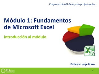 Módulo 1: Fundamentos
de Microsoft Excel
Profesor: Jorge Bravo
1
Programa de MS Excel para profesionales
Introducción al módulo
 