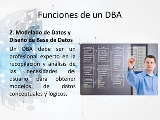 Funciones de un DBA
2. Modelado de Datos y
Diseño de Base de Datos
Un DBA debe ser un
profesional experto en la
recopilación y análisis de
las necesidades del
usuario para obtener
modelos de datos
conceptuales y lógicos.
 