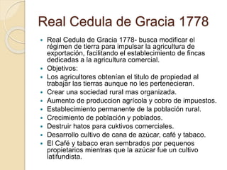 Real Cedula de Gracia 1778
 Real Cedula de Gracia 1778- busca modificar el
régimen de tierra para impulsar la agricultura de
exportación, facilitando el establecimiento de fincas
dedicadas a la agricultura comercial.
 Objetivos:
 Los agricultores obtenían el titulo de propiedad al
trabajar las tierras aunque no les pertenecieran.
 Crear una sociedad rural mas organizada.
 Aumento de produccion agrícola y cobro de impuestos.
 Establecimiento permanente de la población rural.
 Crecimiento de población y poblados.
 Destruir hatos para cuktivos comerciales.
 Desarrollo cultivo de cana de azúcar, café y tabaco.
 El Café y tabaco eran sembrados por pequenos
propietarios mientras que la azúcar fue un cultivo
latifundista.
 