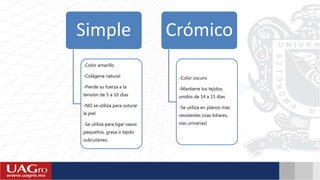 Simple
-Color amarillo
-Colágena natural
-Pierde su fuerza a la
tensión de 5 a 10 días
-NO se utiliza para suturar
la piel
-Se utiliza para ligar vasos
pequeños, grasa o tejido
subcutáneo
Crómico
-Color oscuro
-Mantiene los tejidos
unidos de 14 a 15 días
-Se utiliza en planos más
resistentes (vías biliares,
vías urinarias)
 