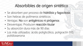 Absorbibles de origen sintético
• Se absorben por proceso de hidrólisis y fagocitosis
• Son hebras de polímeros sintéticos
• Ventajas: No son antigénicos ni pirógenos
• Desventajas: Producen reacción tisular
• Su absorción dura más de 90 días
• Los más utilizados: ácido poliglicólico, poligractín 910,
polidioxanona
 