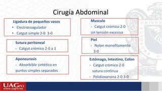 Cirugía Abdominal
Ligadura de pequeños vasos
• Electrocoagulador
• Catgut simple 2-0 3-0
Sutura peritoneal
• Catgut crómico 2-0 a 1
Aponeurosis
• Absorbible sintético en
puntos simples separados
Musculo
• Catgut crómico 2-0
sin tensión excesiva
Piel
• Nylon monofilamento
3-0
Estómago, Intestino, Colon
• Catgut crómico 2-0
sutura continua
• Polidioxanona 2-0 3-0
 