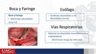Boca y Faringe
Boca y Faringe
• Materiales absorbibles
3-0 y 4-0
Esófago
• Sintéticos absorbibles o no
Absorbibles [Lento]
Vías Respiratorias
• Material no absorbible monofilamento o
engrapadoras
[Disminuye riesgo de infección]
 