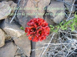En todos estos casos, la diferencia no estuvo en la piedra sino en el hombre !!! 