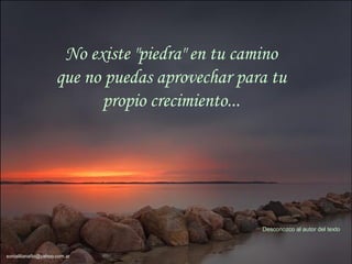 No existe "piedra" en tu camino que no puedas aprovechar para tu propio crecimiento... Desconozco al autor del texto [email_address] 
