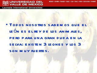 Todos nosotros sabemos que el león es el rey de los animales, pero para una gran duda en la selva: existen 3 leones y los 3 son muy fuertes. 