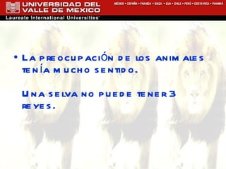 La preocupación de los animales tenía mucho sentido. Una selva no puede tener 3 reyes. 