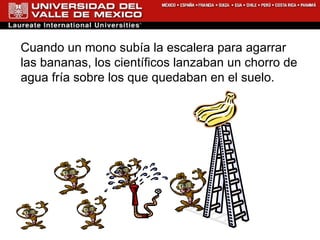 Cuando un mono subía la escalera para agarrar las bananas, los científicos lanzaban un chorro de agua fría sobre los que quedaban en el suelo. 