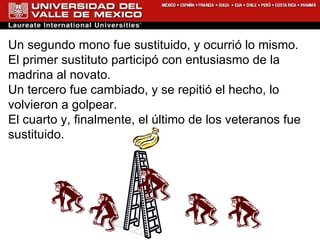 Un segundo mono fue sustituido, y ocurrió lo mismo. El primer sustituto participó con entusiasmo de la madrina al novato. Un tercero fue cambiado, y se repitió el hecho, lo volvieron a golpear. El cuarto y, finalmente, el último de los veteranos fue sustituido. 