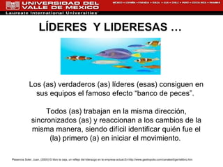 Los (as) verdaderos (as) líderes (esas) consiguen en sus equipos el famoso efecto “banco de peces”.  Todos (as) trabajan en la misma dirección, sincronizados (as) y reaccionan a los cambios de la misma manera, siendo difícil identificar quién fue el (la) primero (a) en iniciar el movimiento.  Plasencia Soler, Juan. (2005) El libro la caja, un reflejo del liderazgo en la empresa actual.En: http://www.gestiopolis.com/canales5/ger/ellibro.htm LÍDERES  Y LIDERESAS …  
