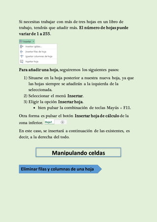 Si necesitas trabajar con más de tres hojas en un libro de 
trabajo, tendrás que añadir más. El número de hojas puede 
variar de 1 a 255. 
Para añadir una hoja, seguiremos los siguientes pasos: 
1) Situarse en la hoja posterior a nuestra nueva hoja, ya que 
las hojas siempre se añadirán a la izquierda de la 
seleccionada. 
2) Seleccionar el menú Insertar. 
3) Eligir la opción Insertar hoja. 
 bien pulsar la combinación de teclas Mayús + F11. 
Otra forma es pulsar el botón Insertar hoja de cálculo de la 
zona inferior. 
En este caso, se insertará a continuación de las existentes, es 
decir, a la derecha del todo. 
Manipulando celdas 
Eliminar filas y columnas de una hoja 
 