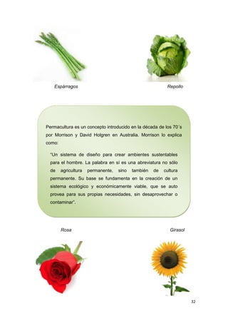 Espárragos                                              Repollo




Permacultura es un concepto introducido en la década de los 70´s
por Morrison y David Holgren en Australia. Morrison lo explica
como:

  “Un sistema de diseño para crear ambientes sustentables
  para el hombre. La palabra en sí es una abreviatura no sólo
  de    agricultura   permanente,   sino   también   de   cultura
  permanente. Su base se fundamenta en la creación de un
  sistema ecológico y económicamente viable, que se auto
  provea para sus propias necesidades, sin desaprovechar o
  contaminar”.




        Rosa                                                 Girasol




                                                                       32
 