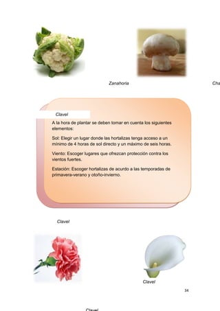 Zanahoria                                   Cha




                                                           Alcatraz
      Clavel
Al diseñar nuestro jardín sustentable, puedes pensar cómo
    A la hora de plantar se deben tomar en cuenta los siguientes
integrarlo adentro de la casa, por ejemplo, construyendo un
    elementos:
invernadero.
    Sol: Elegir un lugar donde las hortalizas tenga acceso a un
    mínimo de 4 horas de sol directo y un máximo de seis horas.
En el balcón, el patio y frente a alguna ventana seguramente hay
lugar para Escoger lugares que ofrezcantomillo, té contra los la
    Viento: hierbas de olor como el protección de limón,
    vientos fuertes.
hierbabuena o el hepazote.
    Estación: Escoger hortalizas de acurdo a las temporadas de
Los primavera-verano y para sembrar son al lado de los caminos
     mejores espacios otoño-invierno.
más transitados adentro y alrededor de la casa, así podrás cuidar
tus cultivos constantemente.




      Clavel




                                                Clavel
                                                                      34
 