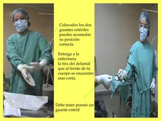 Colocados los dos 
guantes estériles 
puedes acomodar 
su posición 
correcta 
Entrega a la 
enfermera 
la tira del delanta...