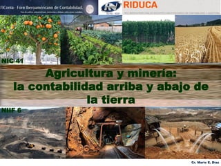 Cr. Mario E. Díaz
Agricultura y minería:
la contabilidad arriba y abajo de
la tierra
NIC 41
NIIF 6
 