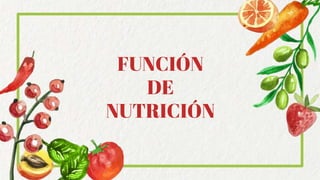 FUNCIÓN
DE
NUTRICIÓN
 