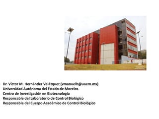 Dr. Víctor M. Hernández Velázquez (vmanuelh@uaem.mx)
Universidad Autónoma del Estado de Morelos
Centro de Investigación en Biotecnología
Responsable del Laboratorio de Control Biológico
Responsable del Cuerpo Académico de Control Biológico
 