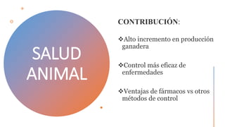 SALUD
ANIMAL
 