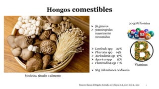 Hongos comestibles
4
 56 géneros
 3000 especies
mayormente
consumidas
Roncero-Ramos& Delgado-Andrade,2017; Royseet al.,2017; Li et al.,2021
 Lentinula spp 22%
 Pleurotus spp 19%
 Auricularia spp 17%
 Agaricus spp 15%
 Flammulina spp 11%
 $63 mil millones de dólares
20-30% Proteína
Medicina, rituales o alimento
Vitaminas
 