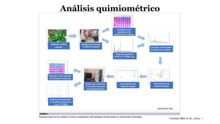 11
Análisis quimiométrico
Cornejo-Báez et al., 2019
 