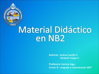 Autoras: Andrea Castillo V.
Elizabeth Vargas C.
Profesora: Patricia Vega.
Curso: B - Lenguaje y Comunicación 2007
 