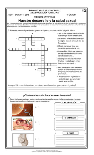 Derechos Reservados. GOB. EDO.SEECH. MTRZN. 
Ponemos a su disposición la página http://primarias.cetechihuahua.gob.mx 
A.E. Explica la periodicidad, la duración, los cambios en el cuerpo y el periodo fértil del ciclo menstrual, así como su relación con la concepción y la prevención de embarazos. Describe el proceso general de reproducción en los seres humanos: fecundación, embarazo y parto, valorando los aspectos afectivos y las responsabilidades implicadas. 
 Para resolver el siguiente crucigrama apóyate con tu libro en las páginas 38-42 
Aunque físicamente hombres y mujeres son diferentes, ¿en qué son iguales? 
¿Cómo nos reproducimos los seres humanos? 
Describe brevemente en qué consiste cada etapa del proceso de la reproducción humana, 
luego relaciónalo con la imagen que la representa. 
( ) 
( ) 
( ) 
1.Son los días del ciclo menstrual en los 
que la mujer puede embarazarse. 
2. 
Se le llama al tejido expulsado porla vagina cuando el óvulo no esfecundado. 
3.El ciclo menstrual tiene una 
duración aproximada de 28… 
4.Los cambios físicos que aparecen 
en la pubertad se conocen como 
caracteres sexuales … 
5.Los órganos sexuales necesitan 
limpieza y cuidado para evitar 
infecciones y prevenir … 
6.En la adolescencia tanto el hombre 
como la mujer están en condiciones 
biológicas, pero no emocionales de 
procrear un … 
7.Así se le conoce al período de 
gestación para que una mujer 
pueda tener un hijo. 
7 
6 
1 
2 
5 
4 
3 
___________________________________________________________________________________________________ ___________________________________________________________________________________________________ ___________________________________________________________________________________________________ ___________________________________________________________________________________________________ 
____________________________________ ____________________________________ ____________________________________ ____________________________________ ____________________________________ ____________________________________ ____________ 
2.EMBARAZO 
____________________________________ ____________________________________ ____________________________________ ____________________________________ ____________________________________ ____________________________________ ____________ 
3.PARTO 
____________________________________ ____________________________________ ____________________________________ ____________________________________ ____________________________________ ____________________________________ ____________ 
1.FECUNDACIÓN 
MATERIAL DIDÁCTICO DE APOYO 
A LA EVALUACIÓN FORMATIVASEPT - OCT 2014 - 2015 5º GRADO 
CIENCIAS NATURALES 
12 
Nuestro desarrollo y la salud sexual 
 