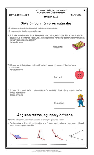 Derechos Reservados. GOB. EDO.SEECH. MTRZN. 
Ponemos a su disposición la página http://primarias.cetechihuahua.gob.mx 
A.E Anticipación del número de cifras del cociente de una división con números naturales. 
 Resuelve los siguientes problemas. 
1.El tío de Valeria contrata a 8 personas para recoger la cosecha de manzanas en 
cajas de 36 manzanas cada una. Si en la primera hora empacaron 2880 manzanas, 
¿Cuántas cajas empacaron? 
Procedimiento 
2.Si todos los trabajadores hicieron la misma tarea, ¿cuántas cajas empacó 
cada uno? 
Procedimiento 
3.Si don Luis pagó $ 2 400 por la recolección total del primer día, ¿cuánto pagó a 
cada trabajador? 
Procedimiento 
A.E Identifica rectas paralelas, perpendiculares y secantes, así como ángulos agudos, rectos y obtusos. 
Escribe sobre la línea el nombre de cada ángulo (recto, obtuso o agudo), utiliza el trasnportador para medirlos. 
MATERIAL DIDÁCTICO DE APOYO 
A LA EVALUACIÓN FORMATIVA 
SEPT - OCT 2014 - 2015 5o. GRADO 
MATEMÁTICAS 
6 
Respuesta: 
______________________ 
Respuesta: 
______________________ 
Respuesta: 
______________________ División con números naturales 
Ángulos rectos, agudos y obtusos 
 
