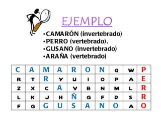 CAMARÓN (invertebrado) PERRO (vertebrado).  GUSANO (invertebrado)  ARAÑA (vertebrado) C A M A R O N Q W P R T R Y U I O P A E Z X C A V B N M L R L K J H Ñ G F D S R F G G U S A N O A O 