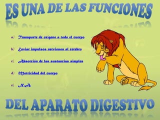 a) Transporte de oxígeno a todo el cuerpo


b) Enviar impulsos nerviosos al cerebro


c)   Absorción de las sustancias simples

d) Motricidad del cuerpo


e)   N.A.
 