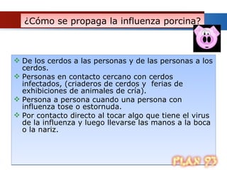 ¿Cómo se propaga la influenza porcina?  De los cerdos a las personas y de las personas a los cerdos. Personas en contacto cercano con cerdos infectados, (criaderos de cerdos y  ferias de exhibiciones de animales de cría).  Persona a persona cuando una persona con influenza tose o estornuda.  Por contacto directo al tocar algo que tiene el virus de la influenza y luego llevarse las manos a la boca o la nariz.  