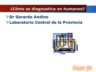 ¿Cómo se diagnostica en humanos?  Dr Gerardo Andino Laboratorio Central de la Provincia 