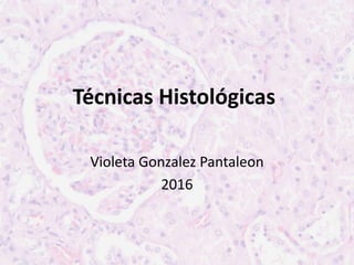 Técnicas Histológicas
Violeta Gonzalez Pantaleon
2016
 