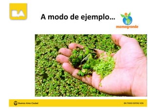 A	
  modo	
  de	
  ejemplo…	
  
 