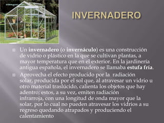                    INVERNADEROUn invernadero (o invernáculo) es una construcción de vidrio o plástico en la que se cultivan plantas, a mayor temperatura que en el exterior. En la jardinería antigua española, el invernadero se llamaba estufa fría.Aprovecha el efecto producido por la  radiación solar, producida por el sol que, al atravesar un vidrio u otro material traslúcido, calienta los objetos que hay adentro; estos, a su vez, emiten radiación infrarroja, con una longitud de onda mayor que la solar, por lo cual no pueden atravesar los vidrios a su regreso quedando atrapados y produciendo el calentamiento