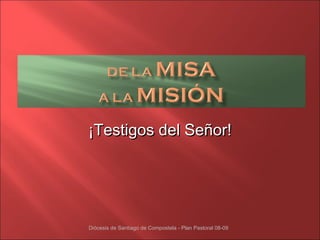 ¡Testigos del Señor! Diócesis de Santiago de Compostela - Plan Pastoral 08-09  