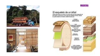MADERA
 