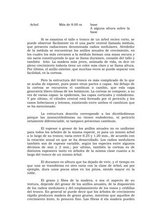 Arbol Más de 8.00 m base
A alguna altura sobre la
base
Si se examina el tallo o tronco de un árbol recien corto, se
puede observar fácilmente en él una parte central llamada médula,
que presenta radiaciones denominada radios medulares. Alrededor
de la médula se encuentran los anillos anuales de crecimiento, en
los cuales los más cercanos a la médula forman una masa oscura y
sin savia constituyendo lo que se llama duramen, corazón del tallo y
también leño. La madera más joven, animada de vida, es dcir en
pleno crecimiento todavía tiene un color más claro y se llama altura.
Por último, el anillo exterior, que muchas veces se puede separar con
facilidad, es la corteza.
Pero la estructura del tronco es más complicado de lo que
se acaba de exponer, pues posee otras partes o capas. Así debajo de
la corteza se encuentra el cambium o cambio, que esla capa
generatriz libero-liñosa de los botánicos. La corteza se compone, a su
vez de varias capas: la epidermis, las capas corticales y endodermo.
Y por último, el cilindro central está formado por el periciclo y los
vasos lioberianos y leñosos, existiendo entre ambos el cambium que
se ha mencionado.
La estructura descrita corresponde a las dicotiledóneas
porque las monocotiledóneas no tienen endodermo, ni periciclo
netamente diferenciable, ni tampoco presentan cambium.
El espesor o grosor de los anillos anuales no es uniforme
para todos los árboles de la misma especie, ni para un mismo árbol
a lo largo de su tronco; varía entre 0.25 y 1.20 mm., de acuerdo con
la estación anual en que se ha desarrollado. Los radios medulares
también son de espesor variable, según las especies entre algunos
décimos de mm y 2 mm.; por ultimo, también la corteza es de
distintos espesores tanto en árboles de la misma clase cuanto a lo
largo del tronco de un mismo árbol.
El duramen es albura que ha dejado de vivir, y el tiempo en
que una se transforma en otro varía con la clase de árbol; así por
ejemplo, dura unos pocos años en los pinos, siendo mayor en la
roble.
El grano y fibra de la madera, o sea el aspecto de su
textura, depende del grosor de los anillos anuales, de la disposición
de los radios medulares y del emplazamiento de los vasos y celdillas
del tronco. En general se puede decir que los árboles de crecimiento
rápido producen madera de grano grueso, mientras que aquellos de
crecimiento lento, lo proucen fino. Las fibras d ela madera pueden
 