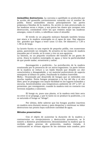 Animalillos destructores. La carcoma o apolillado es producida por
la acción del gusanillo corrientemente conocido con el nombre de
polilla. Estos animalillos atacan principalmente las partes
pulposas,o blandas de la madera. Su acción es más pronunciada en
las maderas secas o viejas, y son pocas las clases que escapan esta
destrucción, contándose entre las que resisten mejor las maderas
amargas, como el cedro, u odoríficas como el alcanfor.
El teredo es un pequeño molusco llamado también broma
que ataca a la madera sumergida en el agua de mar. Hay algunos
tan grandes que llegan a tener unos 12 mm. De diámetro y 1.20 a
1.50 m de largo.
La lycoris fucata es una especie de pequeña polilla, con numerosas
patas, pareciendo un ciempiés. Se arrastra en las rumas de madera
atacadas por el teredo, se lo come y vive en sus agujeros.
La limnora, es un pequeño crustáceo del tamaño de un grano de
arroz. Ataca la madera sumergida en agua; y tiene la particularidad
de que puede nadar, arrastrarse y saltar.
Azumagación o pudrición.- La putrefacción de la madera
ocasionada por la presencia de un micro-organismo. La parte leñosa
de la madera se reduce a un tejido blando que despide un olor
característico y desagradable, y un material pulverulento de aspecto
semejante al tabaco en polvo, resultando la madera inservible.
Moho.- Ocasionado por desarrollo de hongos que se extienden con
mucha rapidez. Estos hongos prosperan a la luz del día y al aire
libre; pero se propagan con mayor facilidad en los lugares húmedos y
oscuros, favoreciéndolos una temperatura ambiente de 24º a 32°; se
presentan, por consiguiente, cuando la madera está en contacto con
terrenos mojados y calurosos.
El hongo es, pues una planta, si la madera está bien seca
no crece ni se propaga, y por lo tanto no se produce la pudrición, y si
es saturada el hongo se “ahoga”.
Por último, debe saberse que los hongos pueden inactivos
en madera seca durante meses y para despertar y continuar su labor
destructora tan pronto haya suficiente cantidad de agua.
Métodos preservativos:
Con el objeto de aumentar la duración de la madera y
contrarrestar su envejecimiento y destrucción prematura, se le
somete a distintos procedimientos; denominándose la madera que la
recibido algún proceso de protección, madera tratada. A
continuación se revisan algunos de los sistemas más usados; pero
 