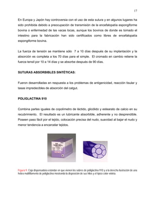 17

En Europa y Japón hay controversia con el uso de esta sutura y en algunos lugares ha
sido prohibida debido a preocupación de transmisión de la encefalopatía espongiforme
bovina o enfermedad de las vacas locas, aunque los bovinos de donde es tomado el
intestino para la fabricación han sido certificados como libres de encefalopatía
espongiforme bovina.


La fuerza de tensión se mantiene sólo 7 a 10 días después de su implantación y la
absorción es completa a los 70 días para el simple. El cromado en cambio retiene la
fuerza tensil por 10 a 14 días y se absorbe después de 90 días.


SUTURAS ABSORBIBLES SINTÉTICAS:


Fueron desarrolladas en respuesta a los problemas de antigenicidad, reacción tisular y
tasas impredecibles de absorción del catgut.


POLIGLACTINA 910


Combina partes iguales de copolímetro de láctido, glicólido y estearato de calcio en su
recubrimiento. El resultado es un lubricante absorbible, adherente y no desprendible.
Poseen paso fácil por el tejido, colocación precisa del nudo, suavidad al bajar el nudo y
menor tendencia a encarcelar tejidos.




Figura 9. Caja dispensadora estándar en que vienen los sobres de poliglactina 910 y a la derecha ilustración de una
hebra multifilamento de poliglactina mostrando la disposición de sus hilos y el típico color violeta.
 