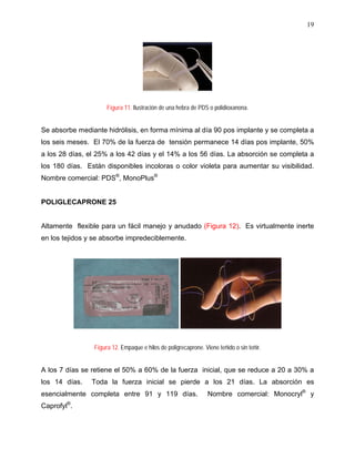 19




                     Figura 11. Ilustración de una hebra de PDS o polidioxanona.


Se absorbe mediante hidrólisis, en forma mínima al día 90 pos implante y se completa a
los seis meses. El 70% de la fuerza de tensión permanece 14 días pos implante, 50%
a los 28 días, el 25% a los 42 días y el 14% a los 56 días. La absorción se completa a
los 180 días. Están disponibles incoloras o color violeta para aumentar su visibilidad.
Nombre comercial: PDS®, MonoPlus®


POLIGLECAPRONE 25


Altamente flexible para un fácil manejo y anudado (Figura 12). Es virtualmente inerte
en los tejidos y se absorbe impredeciblemente.




                Figura 12. Empaque e hilos de poligrecaprone. Viene teñido o sin teñir.


A los 7 días se retiene el 50% a 60% de la fuerza inicial, que se reduce a 20 a 30% a
los 14 días.    Toda la fuerza inicial se pierde a los 21 días. La absorción es
esencialmente completa entre 91 y 119 días.                     Nombre comercial: Monocryl® y
Caprofyl®.
 
